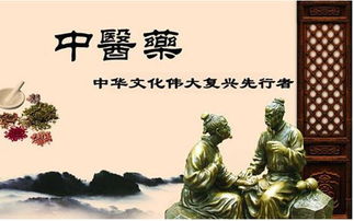 絲路傳杏林，仁心潤(rùn)萬(wàn)邦 中醫(yī)學(xué)者譚鎮(zhèn)平推動(dòng)中醫(yī)藥文化在新時(shí)代絲路上綻放異彩