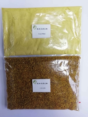 從田野到藥典 玉米花粉、破壁玉米花粉與高粱花粉的植物提取物研發新視角